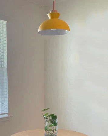 Customer photo review of Contemporary Single Pendant Dome Light