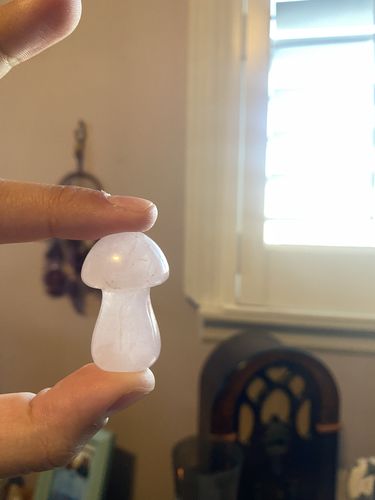 Customer photo review of @karlirymer