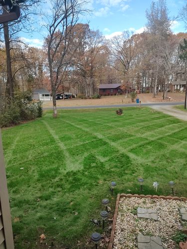 Customer photo review of In Store GCI Turf Type Tall fescue Grass Seed