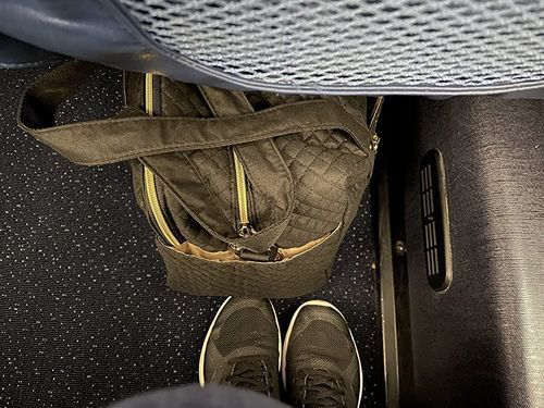 Customer photo review of Weekender 31L Overnight Duffle Bag