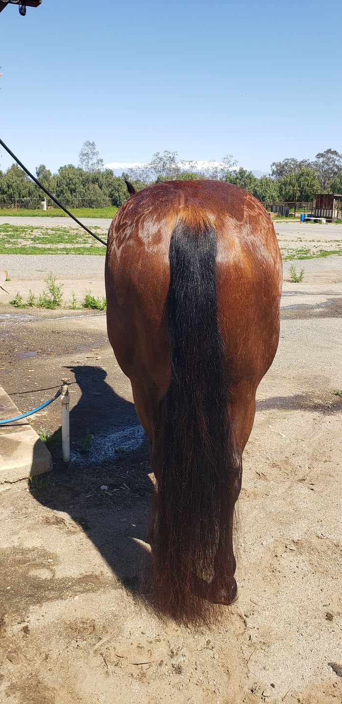 Customer photo review of Shine Gloss