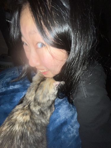 Customer photo review of Adorable Kristin - gray