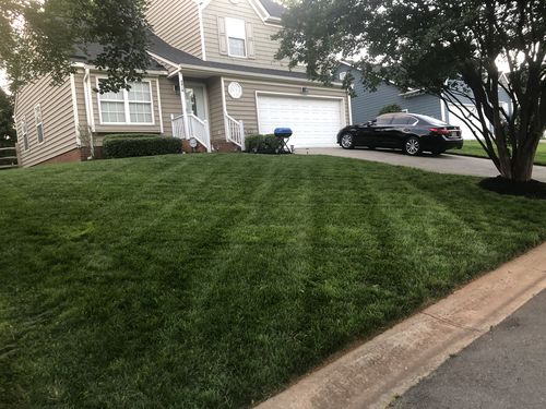 Customer photo review of Deal Of The Day