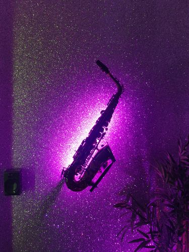 Customer photo review of Eastar AS-Ⅱ-Ab Alto Saxophone E Flat Vintage Full Kit with Carrying Case/Mouthpiece Straps Reeds/Stand /Cork Grease Cleaning Brush