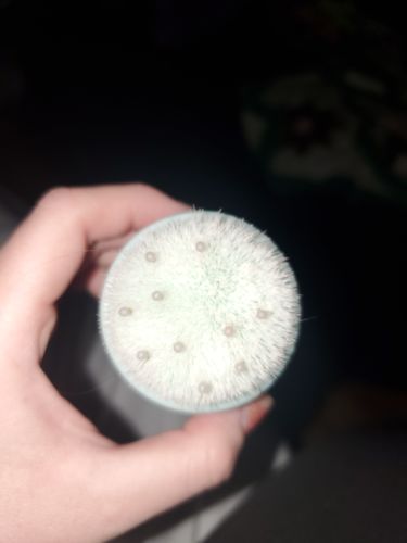 Customer photo review of Day After Brush Clean Dry Shampoo