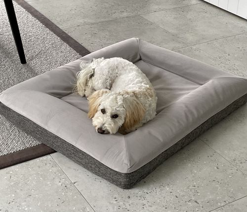 Customer photo review of Orthopaedic Memory Foam Bed