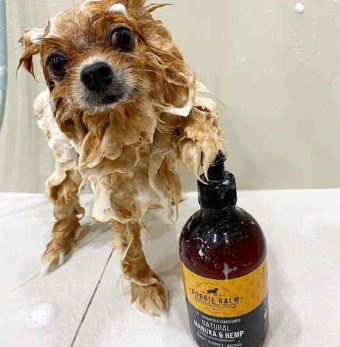 Customer photo review of DoggieBalm Natural Manuka & Hemp Shampoo and Conditioner