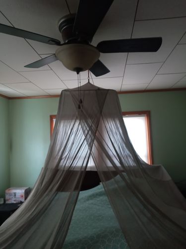 Customer photo review of FaradayLabz™ Silver EMF Protection Bed Canopy