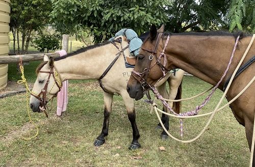 Customer photo review of Black Buckles - 20mm