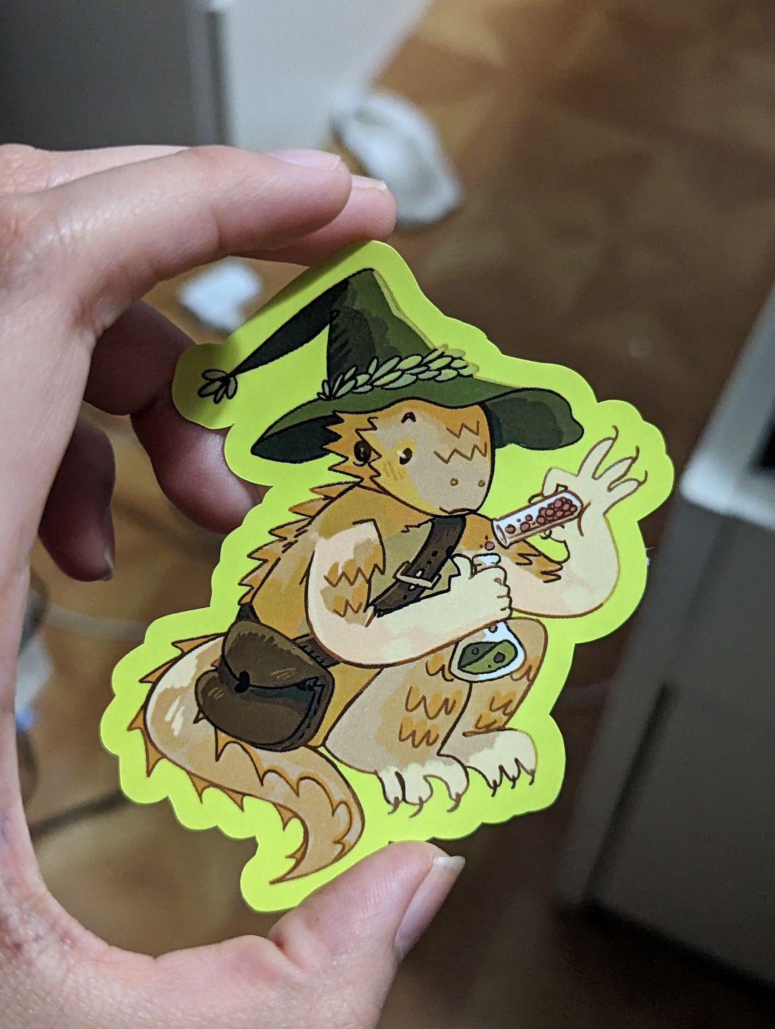 Customer photo review of Lizard Wizard Stickers!