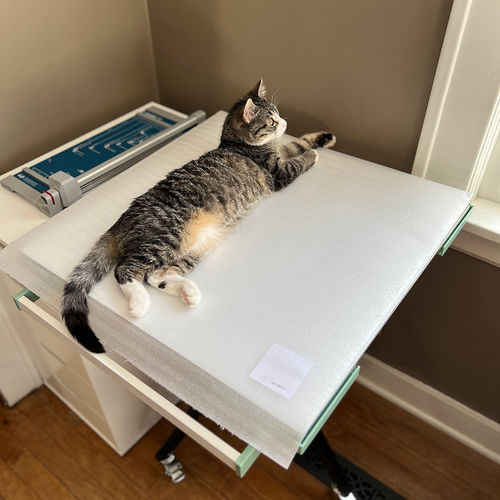 Replica Studio™ Your mobile photoshoot stand on wheels (with Free