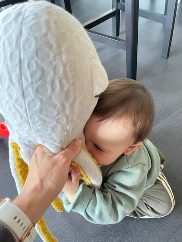 Customer photo review of The Octopus