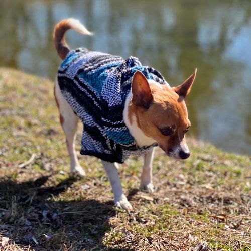 Customer photo review of Playa Poncho - Surprise Color