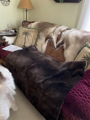Customer photo review of Sheared Beaver Fur Blanket