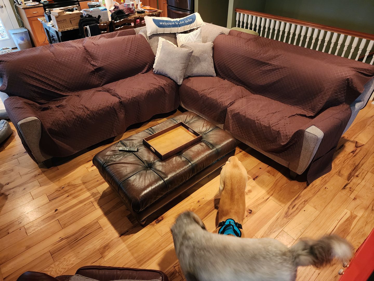 Customer photo review of NEW Machine-Washable, Dryer-Safe Furniture Protector Couch Cover With Side Pockets & Back Straps (+2-In-1 Reversible Colors!)