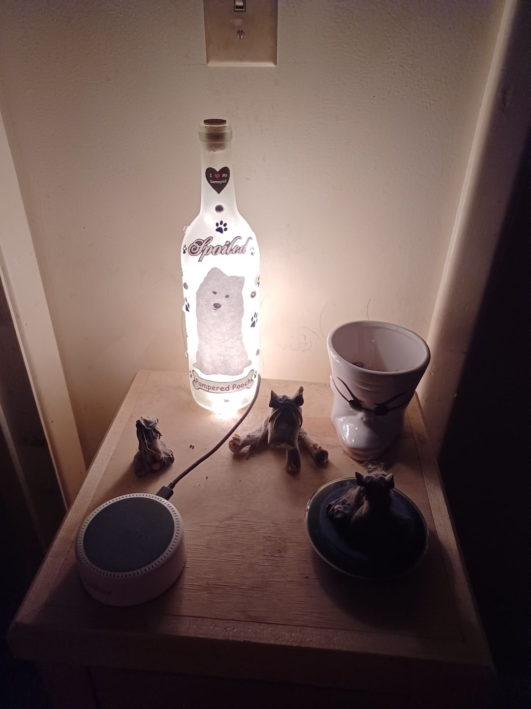 Customer photo review of BLOWOUT 10 Indoor Incandescent Mini String Lights, 8.35 FT White Cord