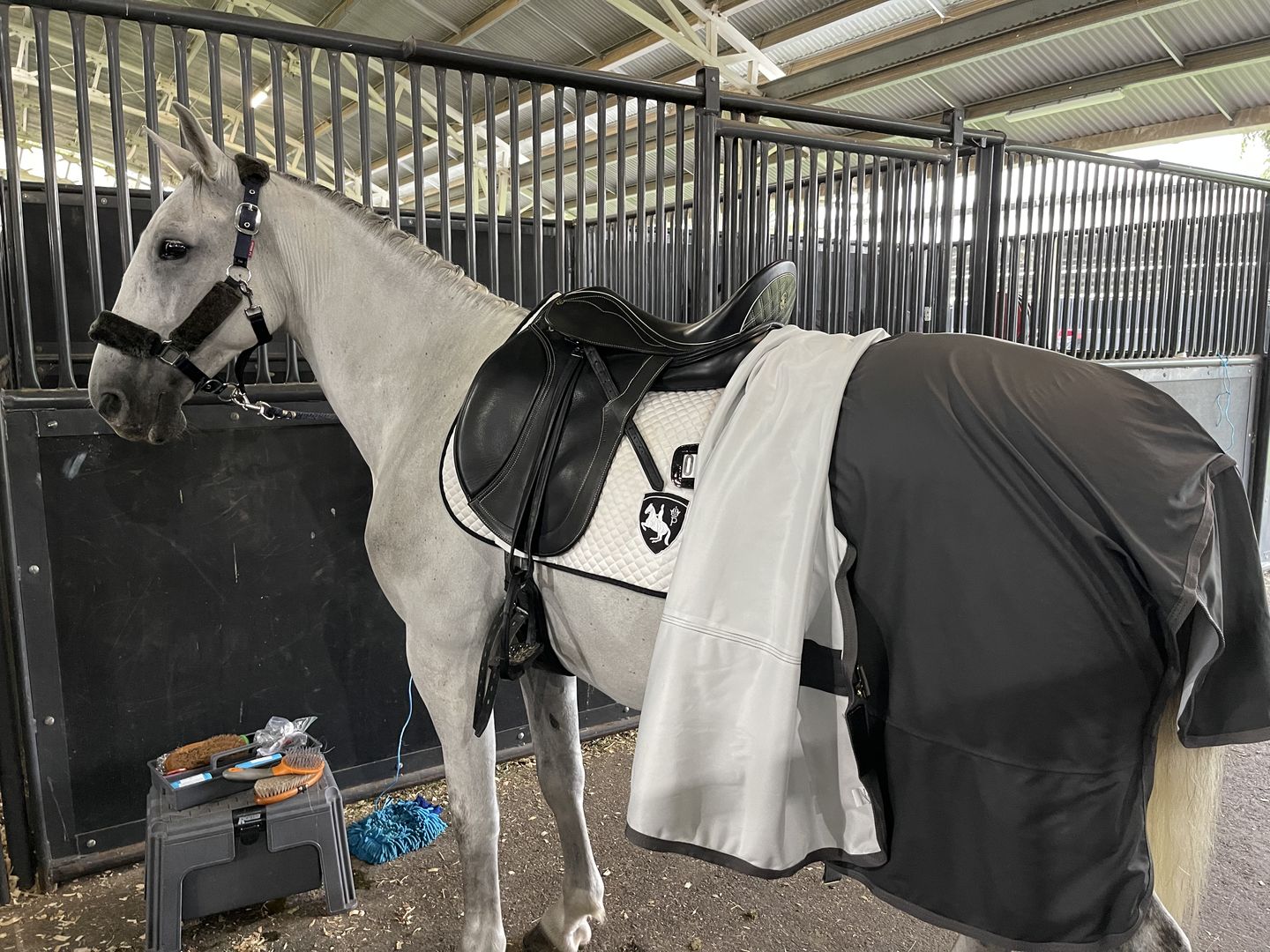 Customer photo review of Horseware Dry Liner
