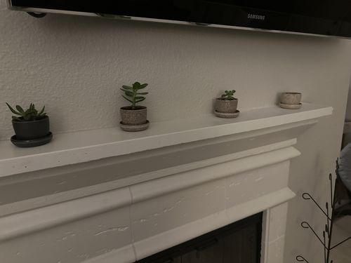 Customer photo review of Three Set | Essence Planter Set