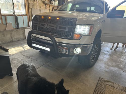 Customer photo review of Carifex Compact LED Headlight Sets