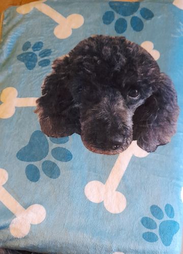 Customer photo review of Personalisierte Hunde Kuscheldecke