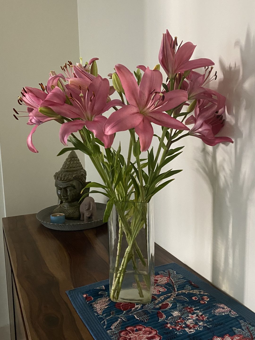 Customer photo review of Asiatic Lily