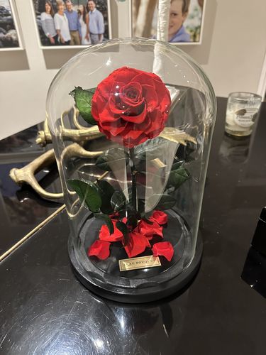 Customer photo review of The Everlasting Rose - Red