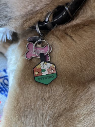 Customer photo review of Explorer Silicone