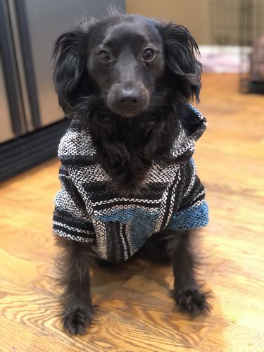 Customer photo review of Playa Poncho - Surprise Color