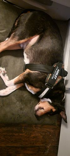 Customer photo review of Black