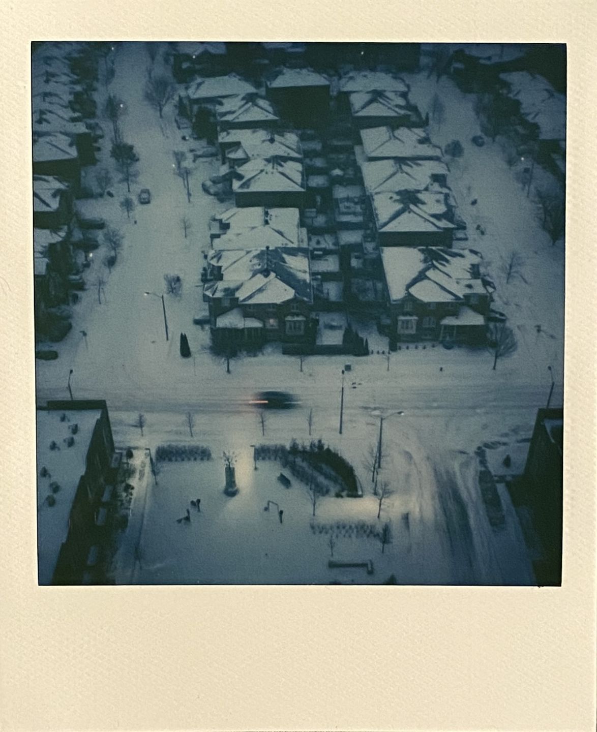Customer photo review of Polaroid Color 600 Instant Film - Five Pack