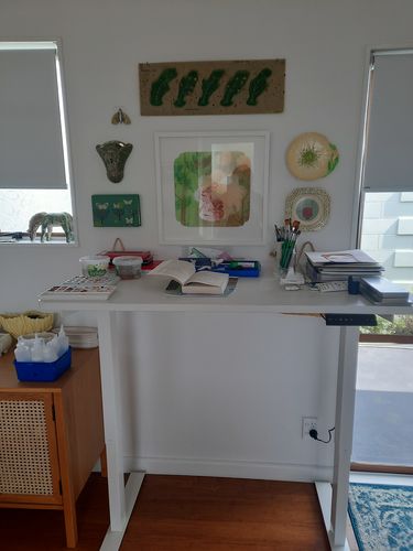 Customer photo review of Evo Electric Standing Height Adjustable  Desk(Free Shipping Nationwide)