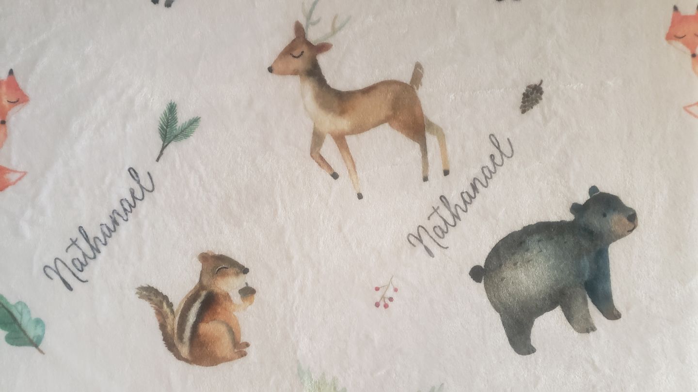 Customer photo review of Woodland Animals Personalized Baby Blanket