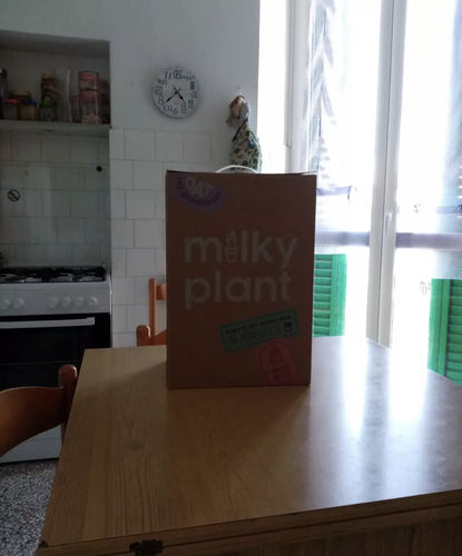 Customer photo review of Milky Plant