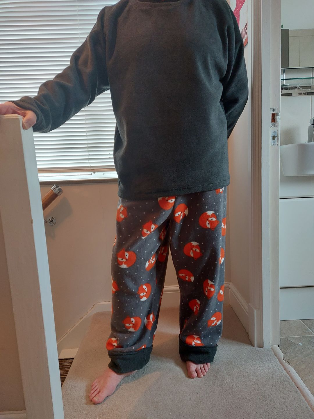 Customer photo review of Sleeping Foxes Anti Pill Polar Fleece Fabric