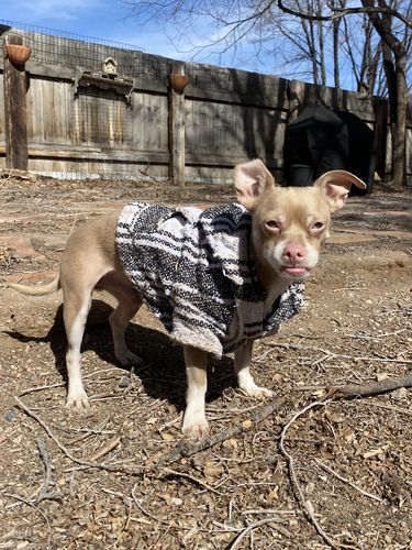 Customer photo review of Playa Poncho - Surprise Color