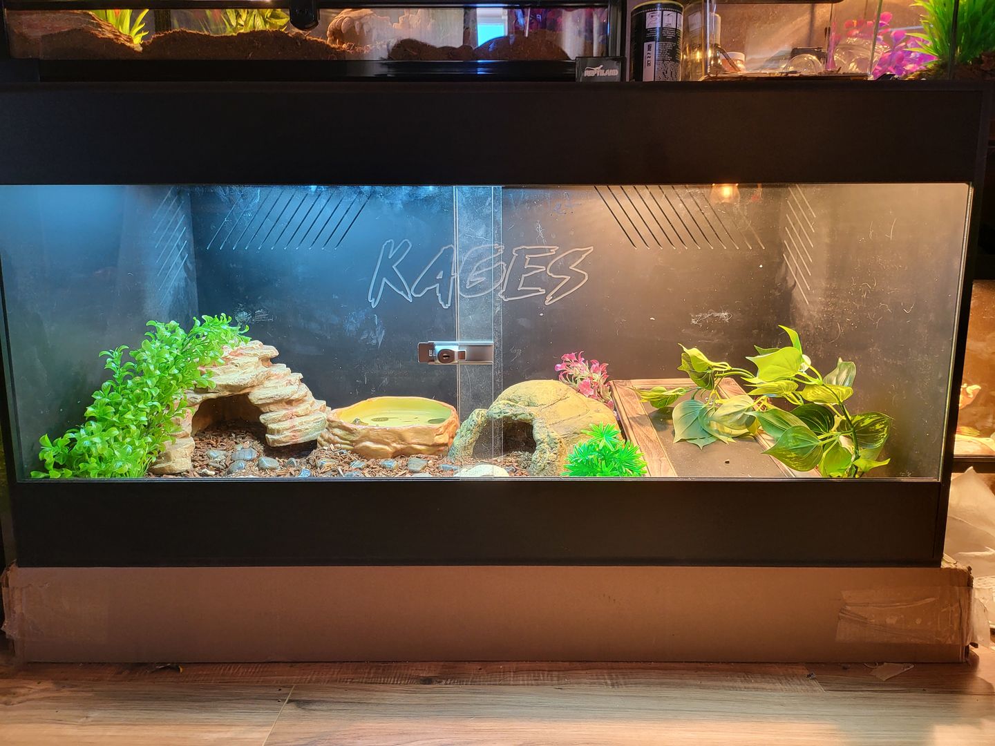 Customer photo review of 48"x24"x24" / 4'x2'x2' Premium PVC Reptile Enclosure