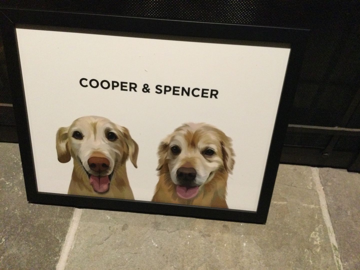Customer photo review of Custom Pet Portrait - Two Pets (Framed)
