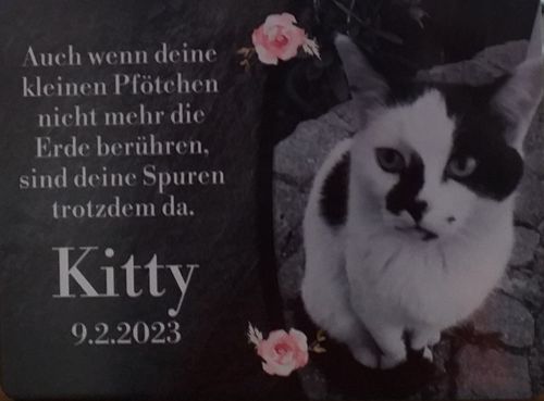 Customer photo review of Katzen Gedenktafel mit Foto & Spruch