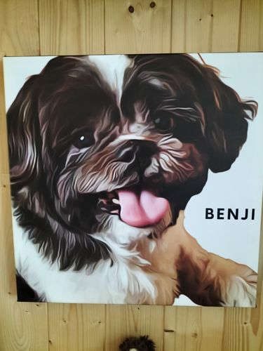 Customer photo review of Portrait Love / Animaux