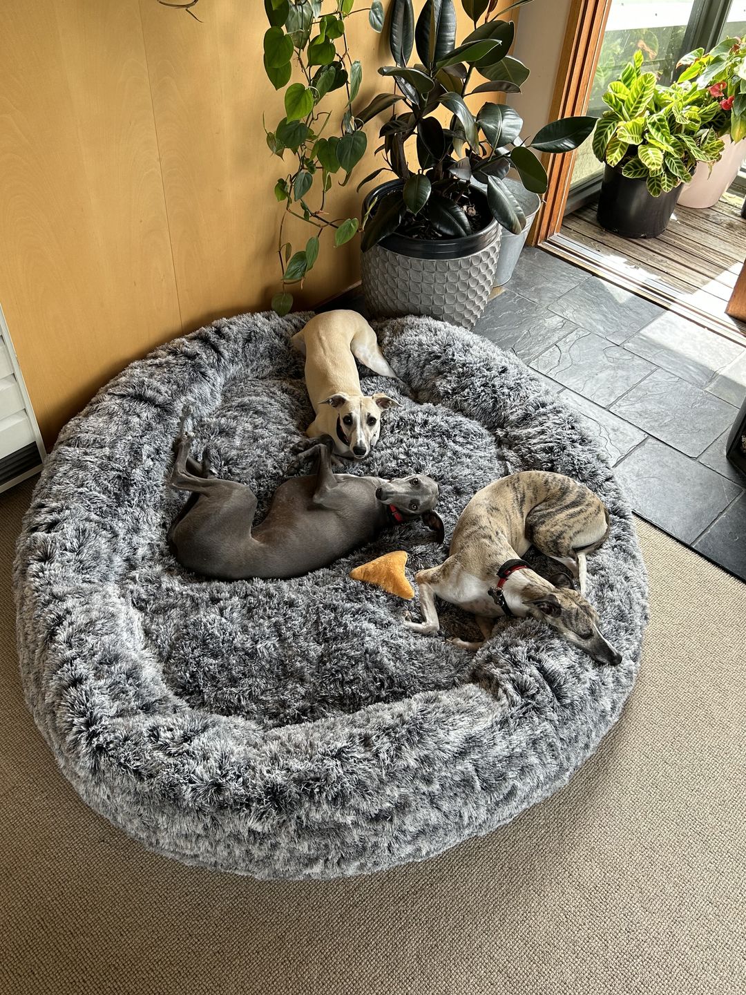 Customer photo review of The Human Size Nap Bed