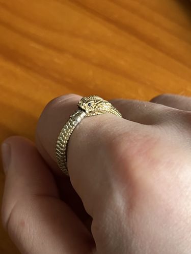 Customer photo review of Ouroboros Ring