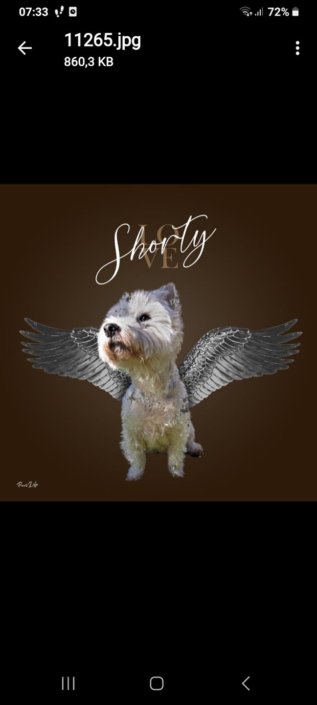 Customer photo review of Personalisiertes Portrait - Silberner Engel Stil