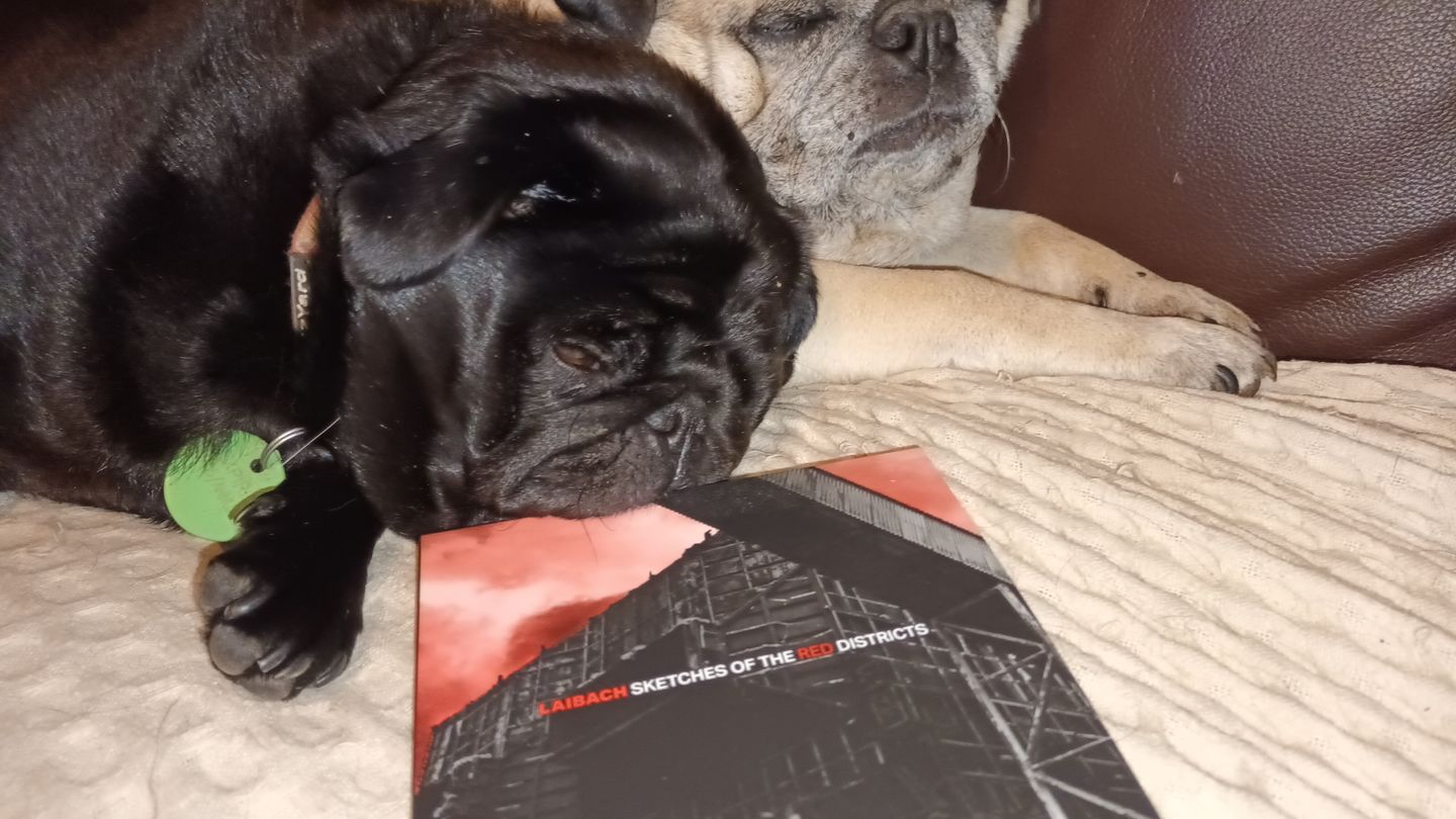 Customer photo review of Sketches Of The Red Districts CD & Booklet