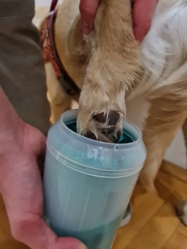 Customer photo review of Cleaner Pro° Animal I Sunde & Rene Poter Cup