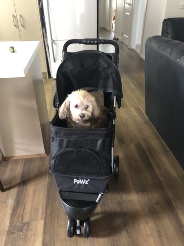 Customer photo review of PaWz Large Pet Stroller Dog Cat Carrier