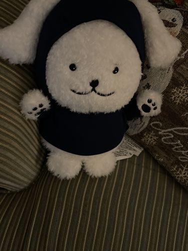 Customer photo review of MONSTA X MINHYUK - MEONGKO Character MD