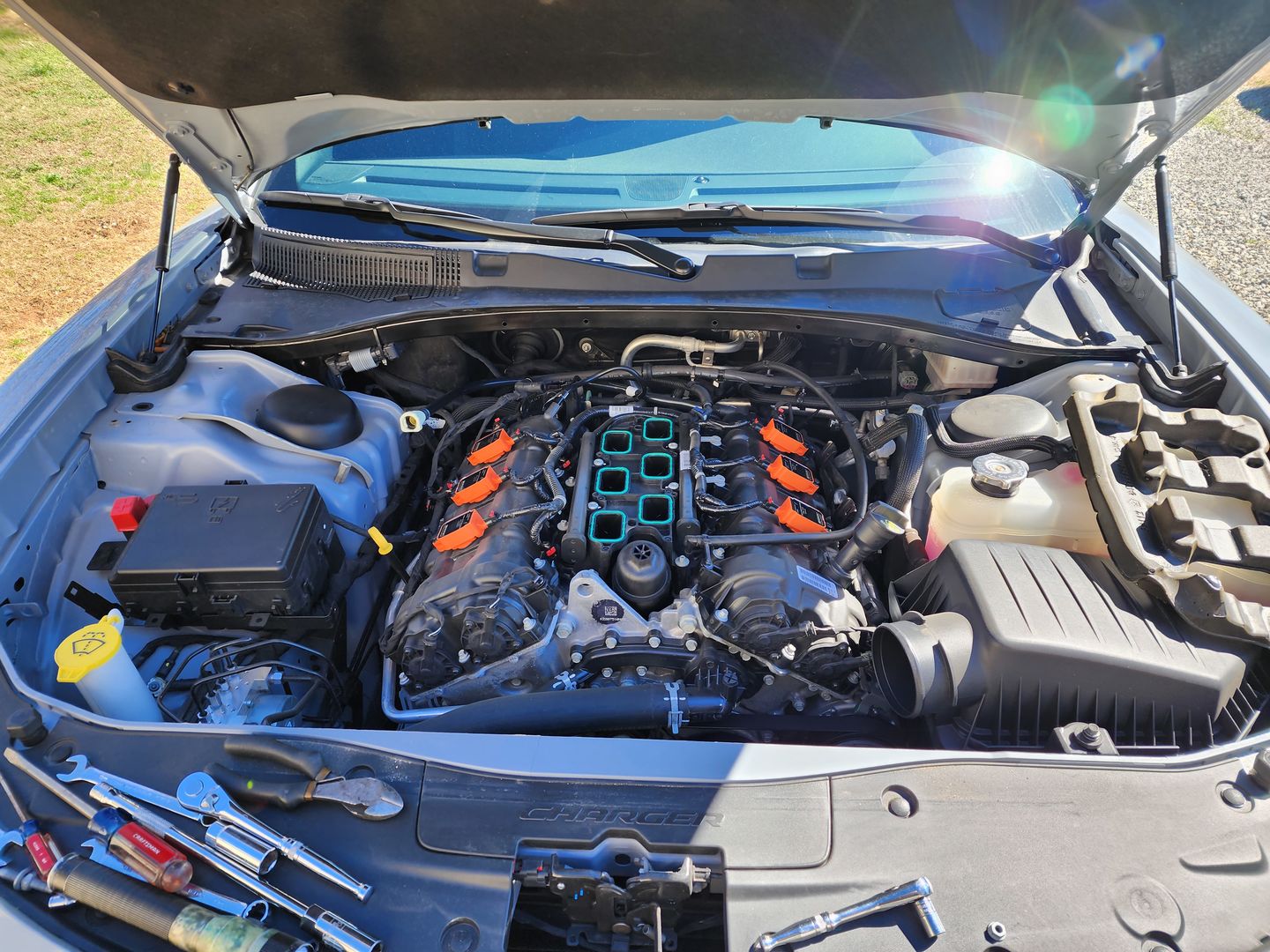 Customer photo review of RIPP High Performance Coil Packs