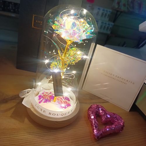 Customer photo review of Galaxy Enchanted Rose Dome
