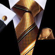 Customer photo review of Golden Python Tie, Pocket Square and Cufflinks