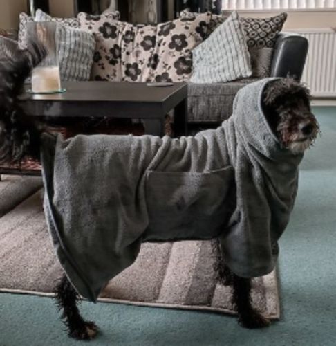 Customer photo review of PetLove® | Ultra absorbent pet bathrobe
